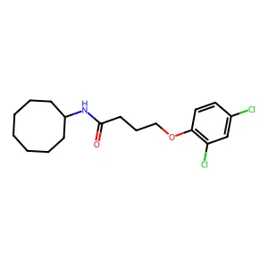 N-cyclooctyl-4-(2,4-dichlorophenoxy)butanamide structure