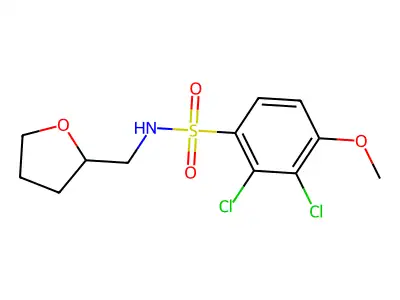 2,3-dichloro-4-methoxy-N-(oxolan-2-ylmethyl)benzenesulfonamide structure