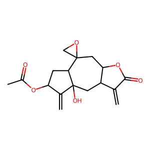 Arctolide structure