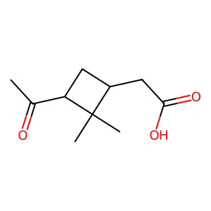 2-[(1R,3R)-3-acetyl-2,2-dimethylcyclobutyl]acetic acid structure