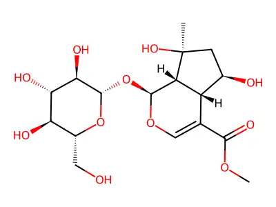 Shanzhiside-methylester structure