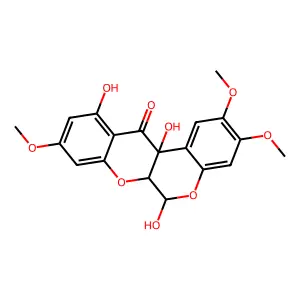 Clitoriacetal structure
