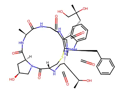 Phe1-phalloidin structure