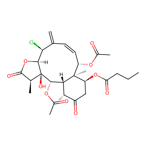 Ptilosarcone structure