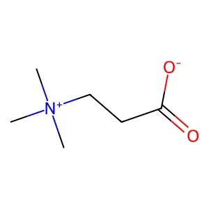 beta-Alanine betaine structure