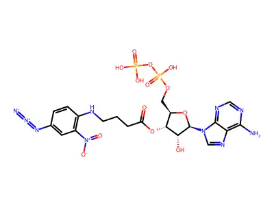 Nap(4)-ADP structure