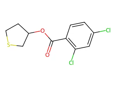 Thiolan-3-yl 2,4-dichlorobenzoate structure