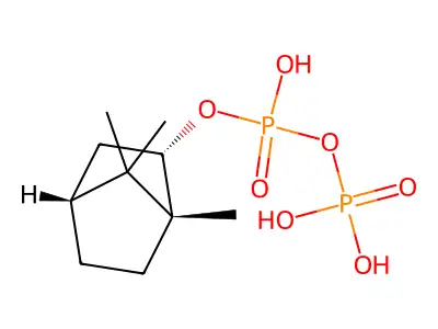 (+)-Bornyl-diphosphate structure