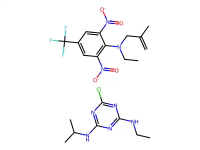 Maizor structure