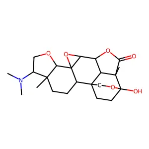 Icacine structure