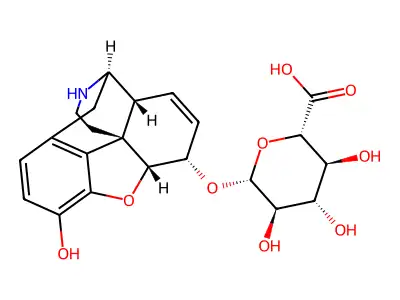 Normorphine-6-glucuronide structure