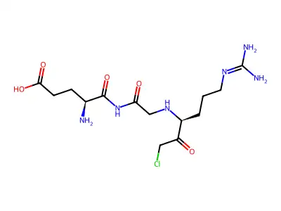 Glutamyl-glycyl-arginine chloromethyl ketone structure