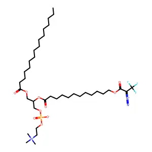 PC-II structure