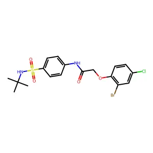 2-(2-bromo-4-chlorophenoxy)-N-[4-(tert-butylsulfamoyl)phenyl]acetamide structure