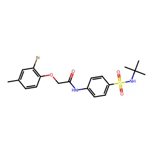 2-(2-bromo-4-methylphenoxy)-N-[4-(tert-butylsulfamoyl)phenyl]acetamide structure