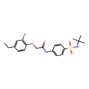 2-(2-bromo-4-ethylphenoxy)-N-[4-(tert-butylsulfamoyl)phenyl]acetamide structure
