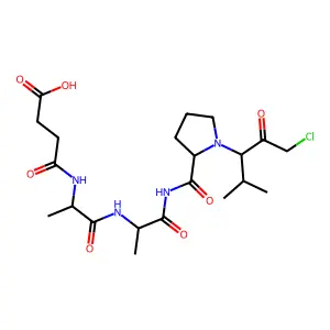 Succinyl-alanyl-alanyl-prolyl-valine chloromethyl ketone structure