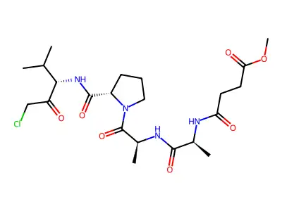 弹性蛋白酶抑制剂III structure