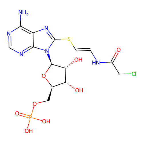 8-(chloroacetylaminoethylthio)cyclic AMP structure