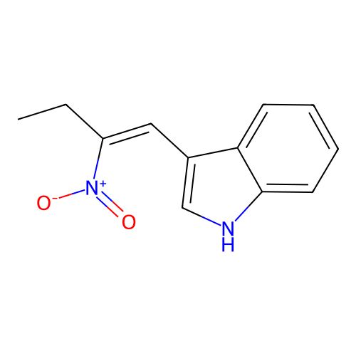 3-(2-nitrobut-1-enyl)-1H-indole structure
