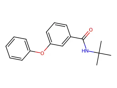 N-tert-butyl-3-phenoxybenzamide structure