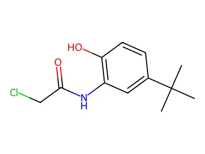 N-(5-tert-butyl-2-hydroxyphenyl)-2-chloroacetamide structure