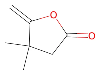 4,4-Dimethyl-5-methylideneoxolan-2-one structure