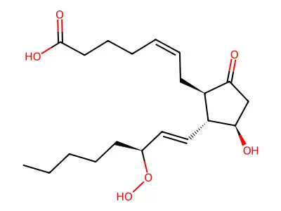 15-Hydroperoxy-PGE2 structure