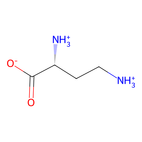 (2R)-2,4-bis(azaniumyl)butanoate structure