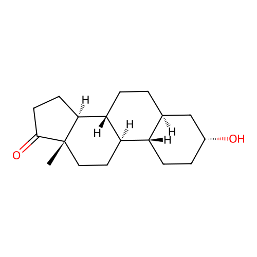 19-Norandrosterone structure