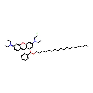 十八烷基罗丹明B氯化物 structure