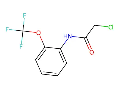 2-chloro-N-[2-(trifluoromethoxy)phenyl]acetamide structure