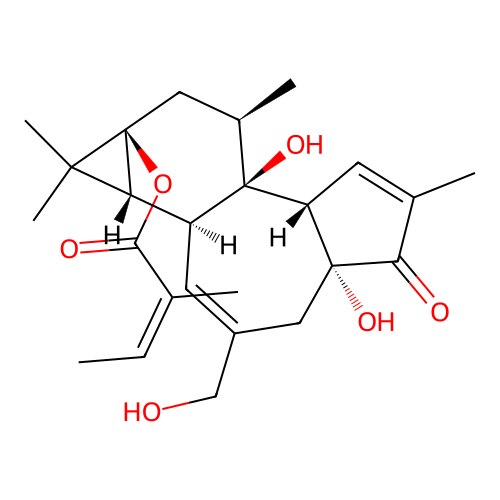 12-Deoxyphorbol-13-angelate structure