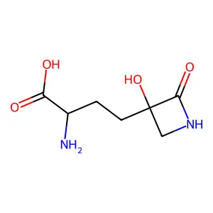 苏氨酸-β-内酰胺 structure