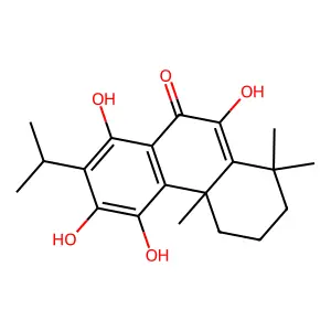 Coleon U structure