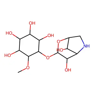 5-[(4,8-dihydroxy-2-oxa-6-azabicyclo[3.2.1]octan-3-yl)oxy]-6-methoxycyclohexane-1,2,3,4-tetrol structure