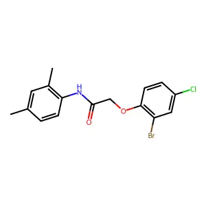 2-(2-bromo-4-chlorophenoxy)-N-(2,4-dimethylphenyl)acetamide structure