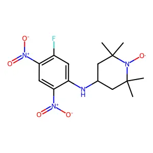 N-(2,5-Dinitro-4-fluorophenyl)-4-amino-2,2,6,6-tetramethylpiperidinooxy structure