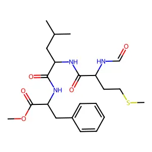 Fmlp ome structure