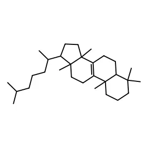 Lanost-8-ene structure
