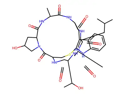 Leu-phalloidin structure