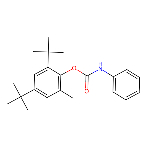 2,4-Ditert-butyl-6-methylphenyl phenylcarbamate structure