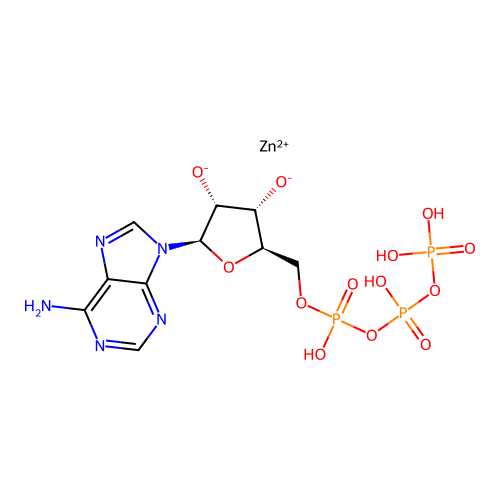 Zinc adenosine triphosphate structure