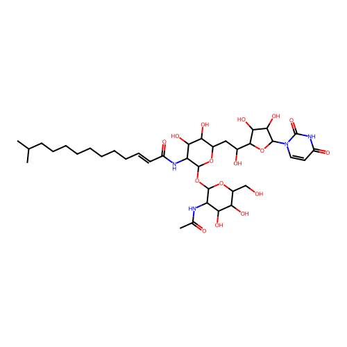 Tunicamycin A1 homolog structure