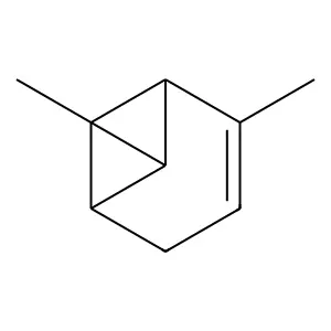 Tricyclo(4.1.0.02,7)hept-3-ene, 1,3-dimethyl- structure