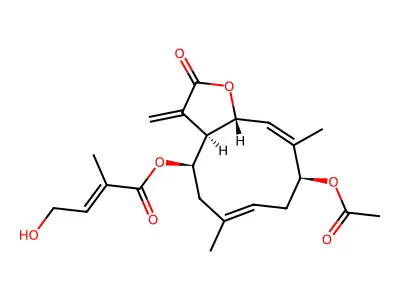 CTK2F5375 structure