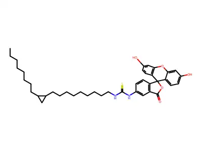 F 20C structure