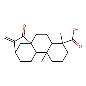 对映-15-氧代贝壳杉-16-烯-19-酸 structure
