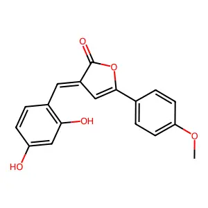 3-[(2,4-Dihydroxyphenyl)methylidene]-5-(4-methoxyphenyl)furan-2-one structure