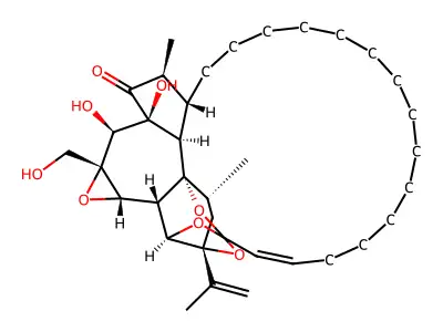 Synaptolepis factor K1 structure